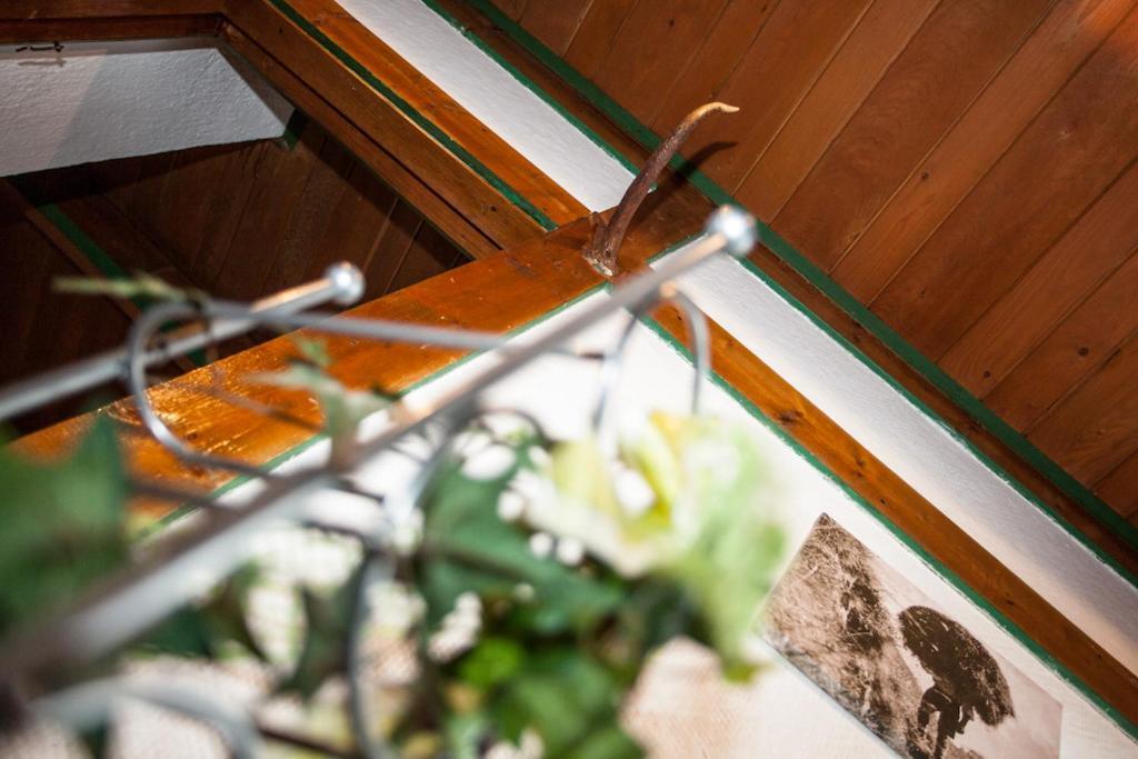 Chalet Appartement Alpenherz Saalbach-Hinterglemm Bilik gambar